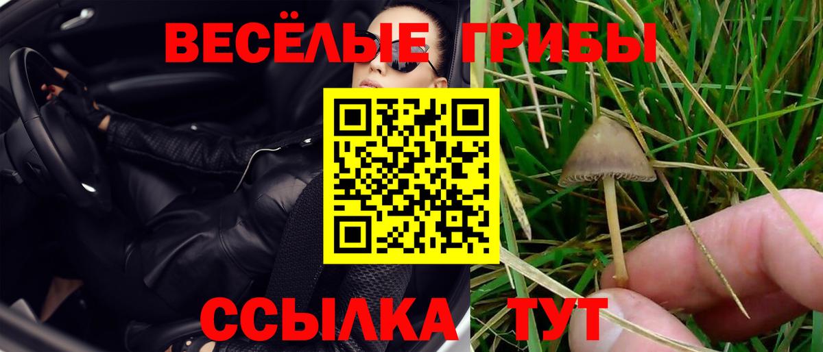 ГАШИШ  APVP СК кристаллы  Трёхгорный  Лсд 25  Вход с VPN  НБОМе  МЕФ   Купить наркотики  ГАШИШ 
